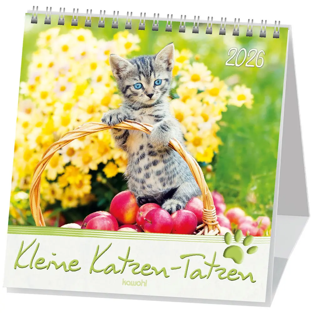 Cover: 9783754816967 | Kleine Katzen-Tatzen 2026 | Postkarten-Kalender | Kalender | 13 S.