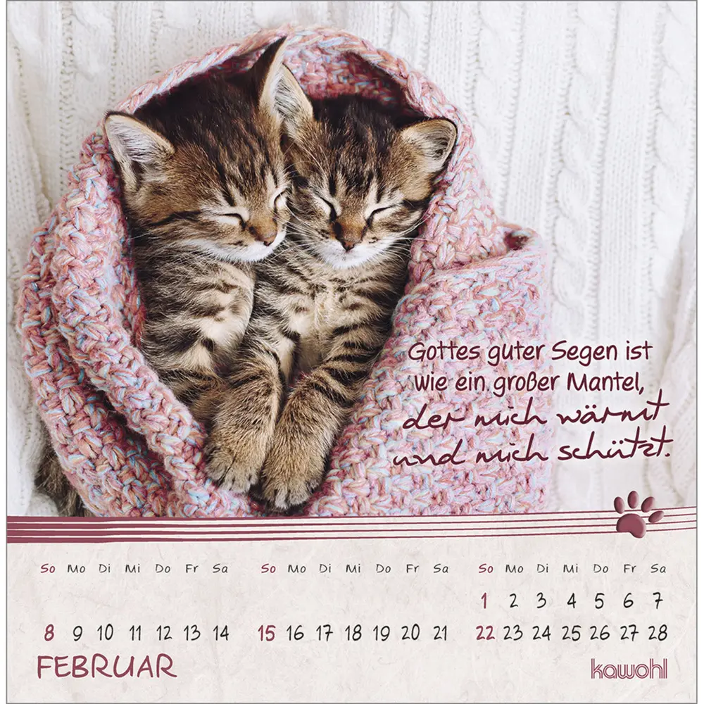 Bild: 9783754816967 | Kleine Katzen-Tatzen 2026 | Postkarten-Kalender | Kalender | 13 S.