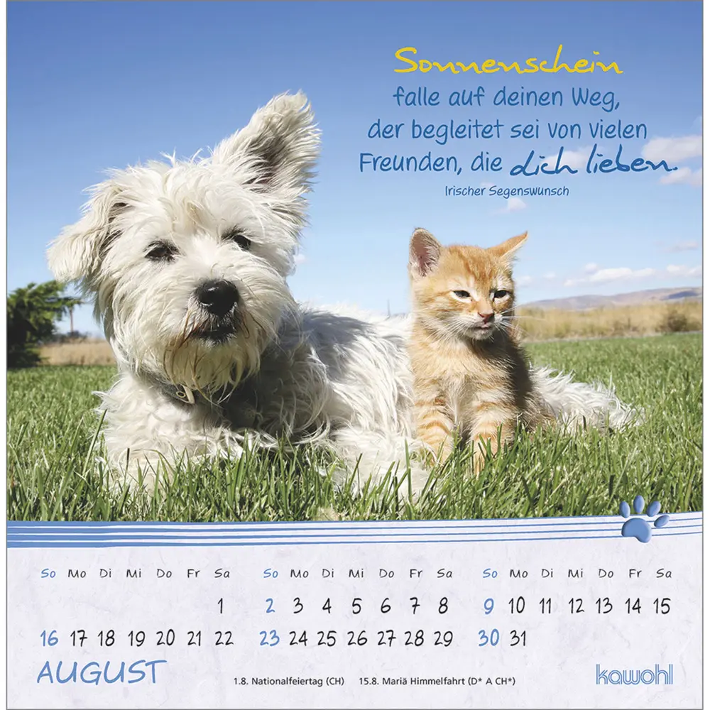 Bild: 9783754816967 | Kleine Katzen-Tatzen 2026 | Postkarten-Kalender | Kalender | 13 S.