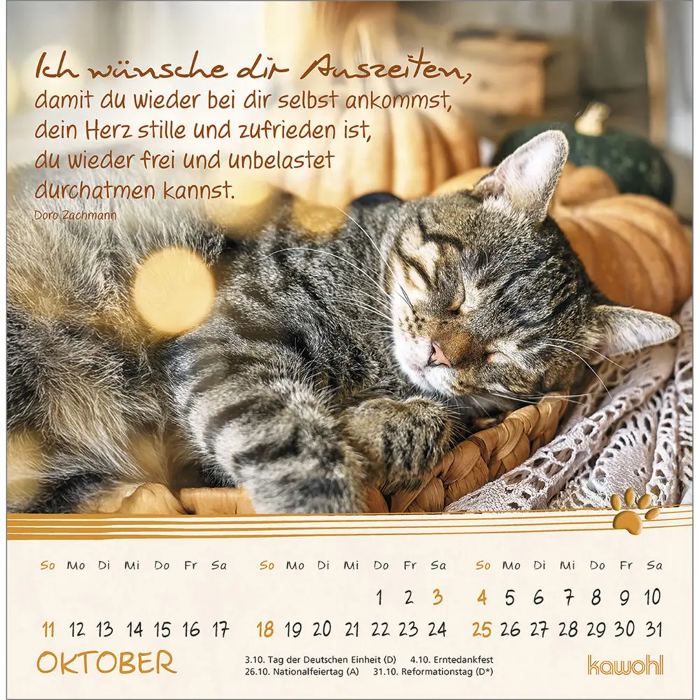 Bild: 9783754816967 | Kleine Katzen-Tatzen 2026 | Postkarten-Kalender | Kalender | 13 S.