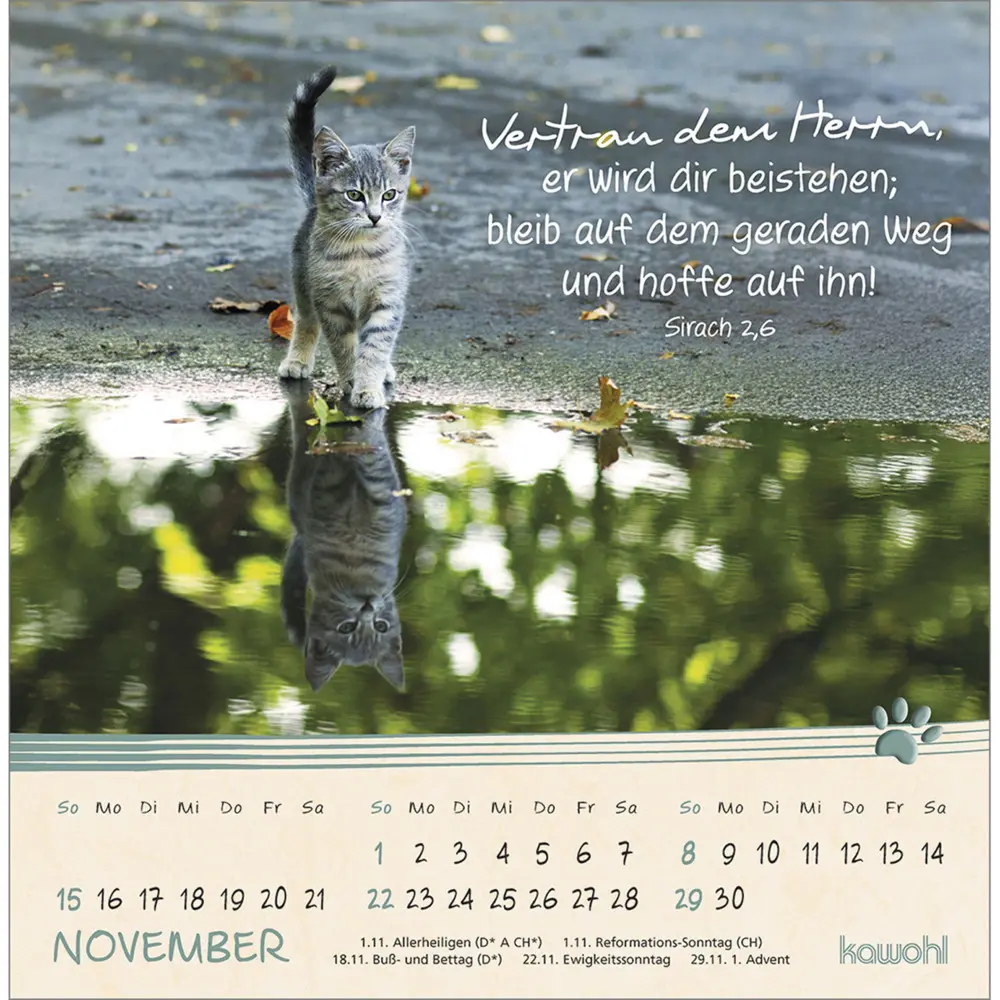 Bild: 9783754816967 | Kleine Katzen-Tatzen 2026 | Postkarten-Kalender | Kalender | 13 S.