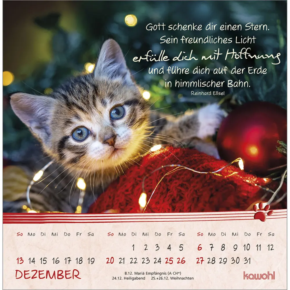 Bild: 9783754816967 | Kleine Katzen-Tatzen 2026 | Postkarten-Kalender | Kalender | 13 S.