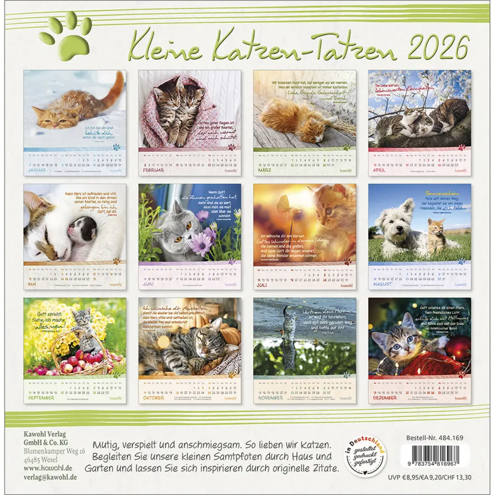 Bild: 9783754816967 | Kleine Katzen-Tatzen 2026 | Postkarten-Kalender | Kalender | 13 S.