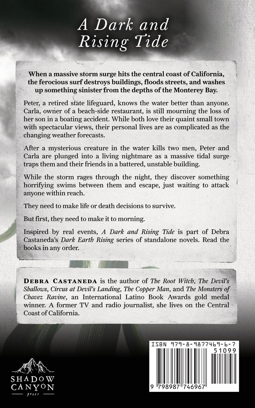 Rückseite: 9798987746967 | A Dark and Rising Tide | Debra Castaneda | Taschenbuch | Englisch