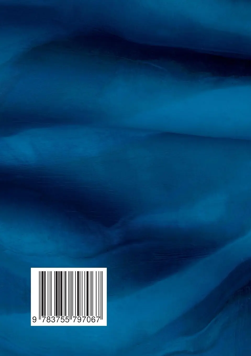 Rückseite: 9783755797067 | Raus aus dem Sumpf | Maria Anna Bröder | Taschenbuch | Paperback