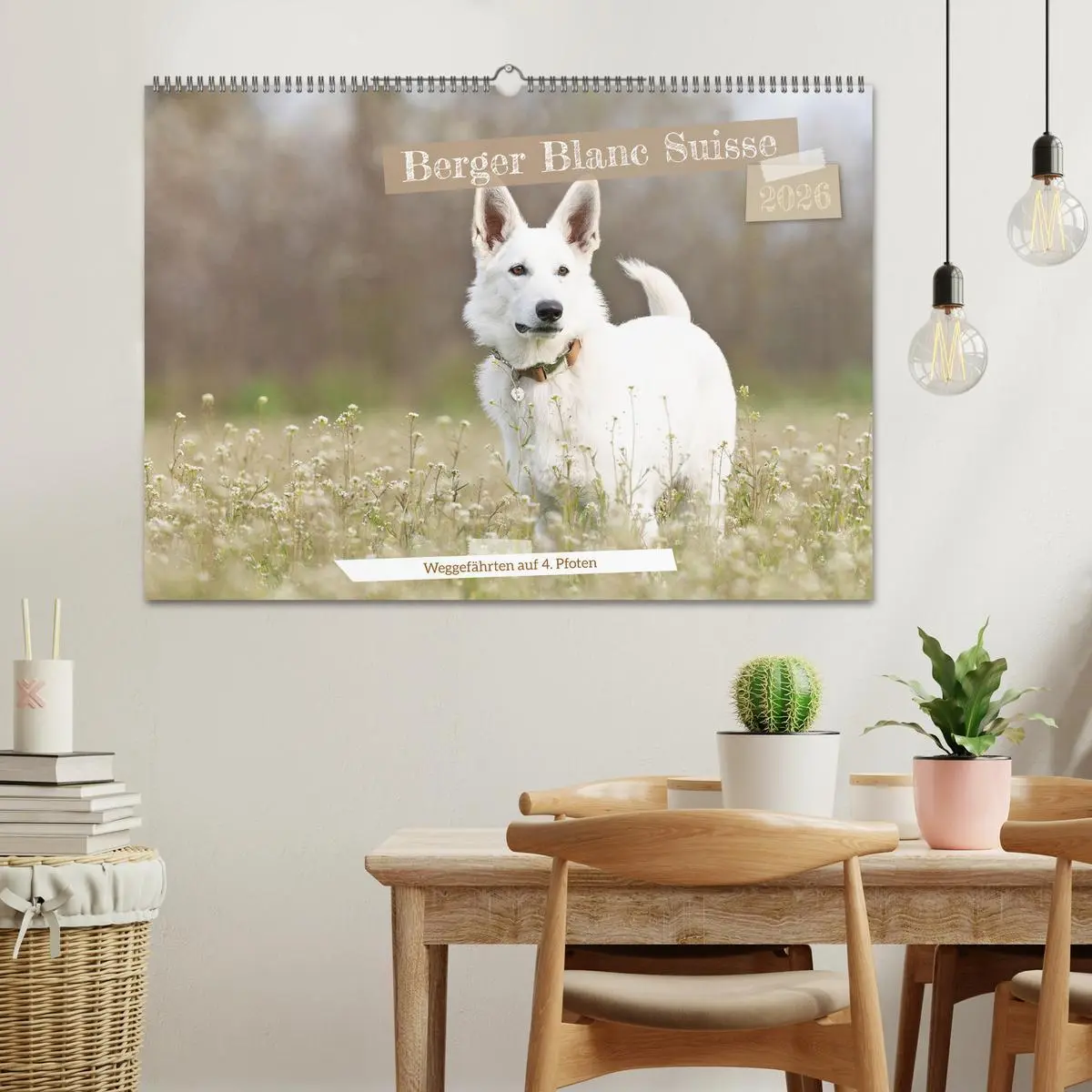 Bild: 9783457247167 | Berger Blanc Suisse - Weggefährten auf 4 Pfoten (Wandkalender 2026...