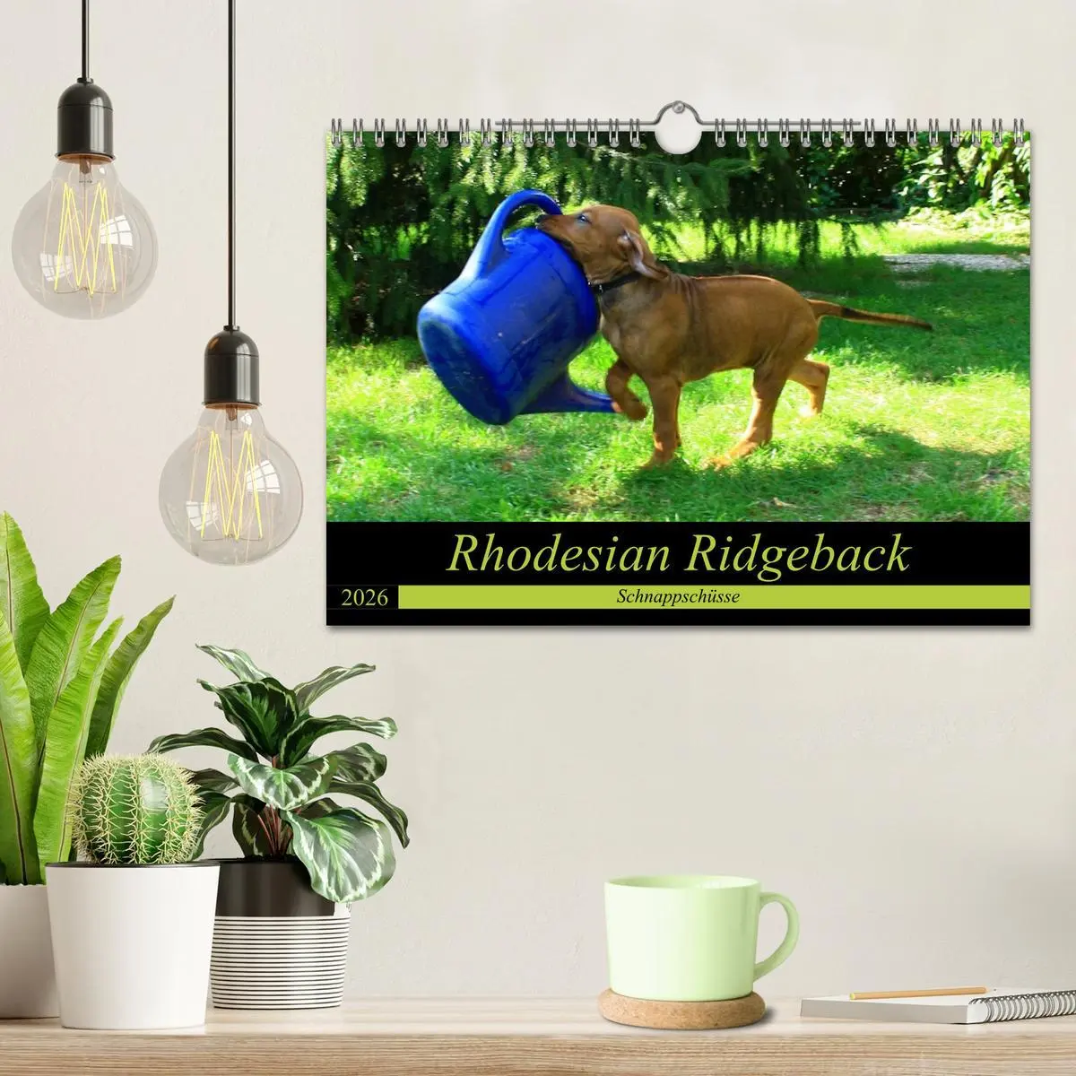 Bild: 9783457937167 | Rhodesian Ridgeback - Schnappschüsse - (Wandkalender 2026 DIN A4...