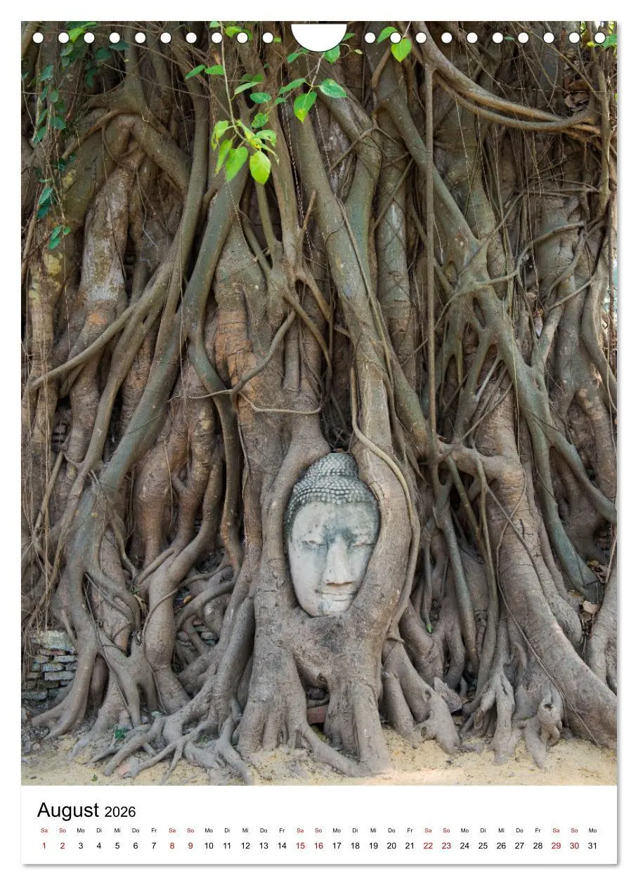 Bild: 9783516337167 | Buddhas im Glück (Wandkalender 2026 DIN A4 hoch), CALVENDO...