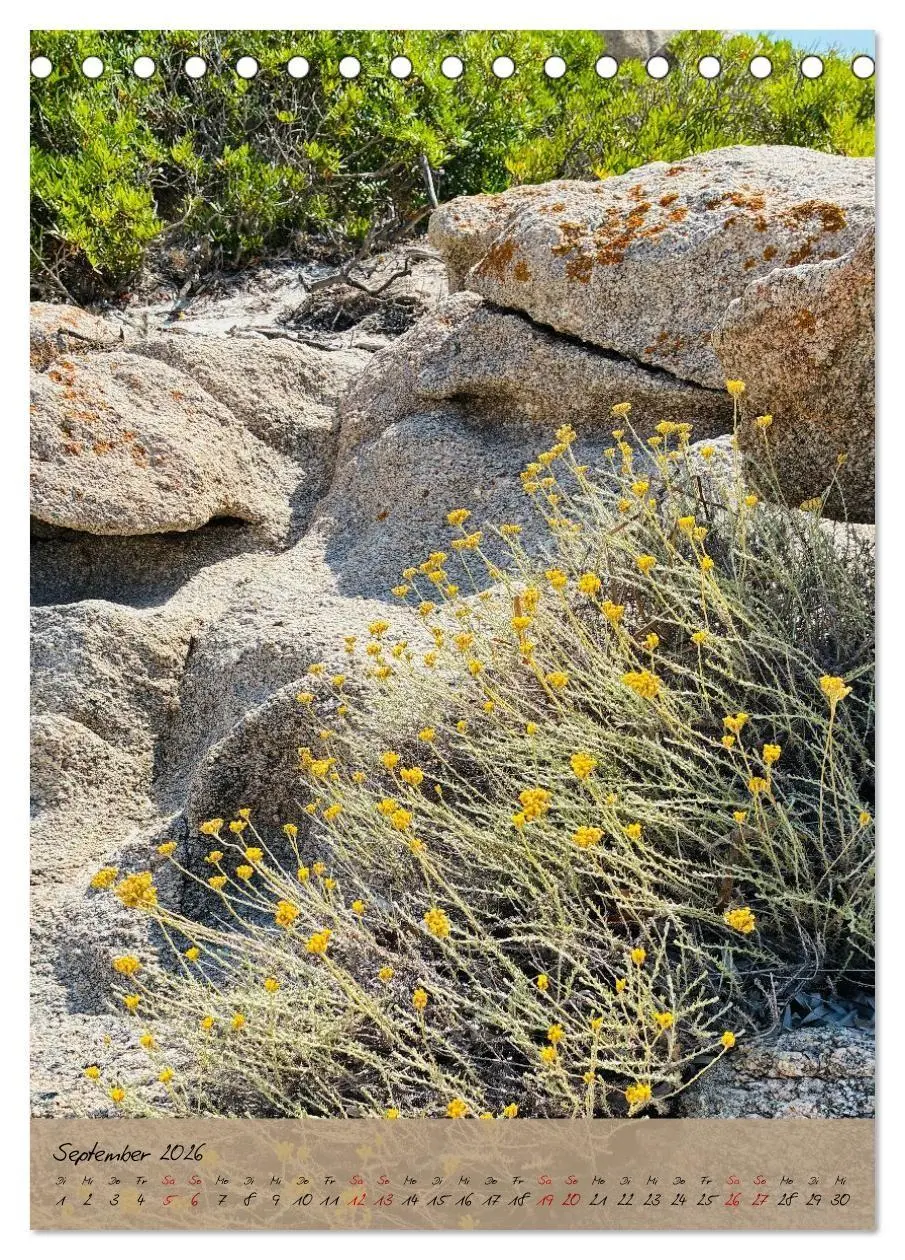 Bild: 9783516707267 | Sardinien - das ganze Jahr Urlaubsgefühl (Tischkalender 2026 DIN A5...