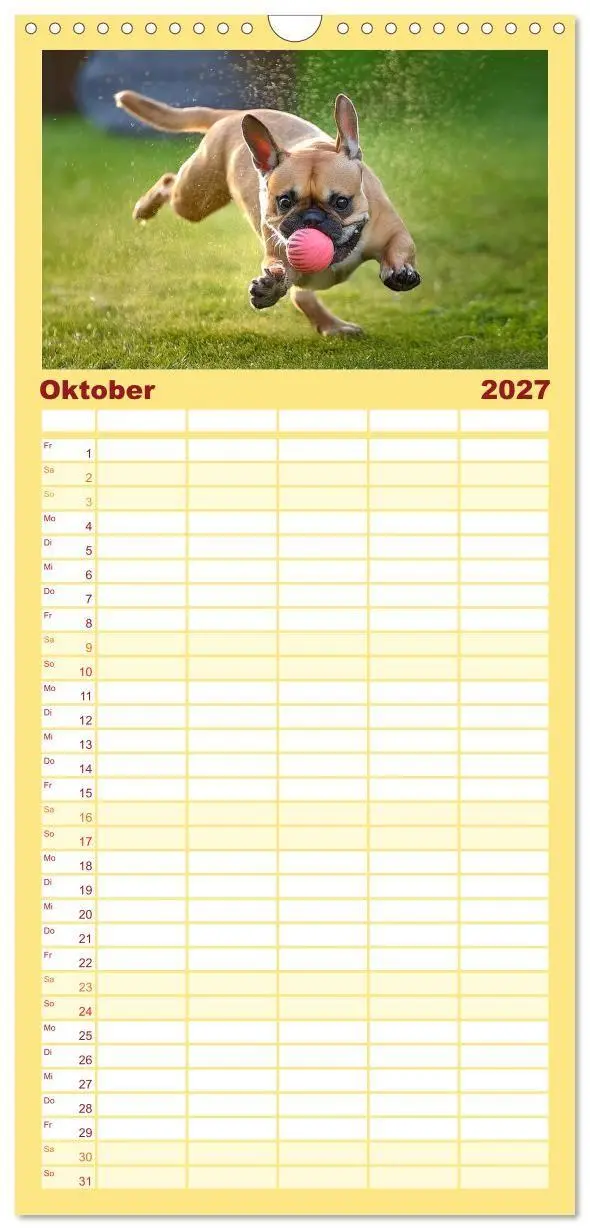 Bild: 9783594307267 | Familienplaner 2027 - Bullys in Action - Französische Bulldoggen...