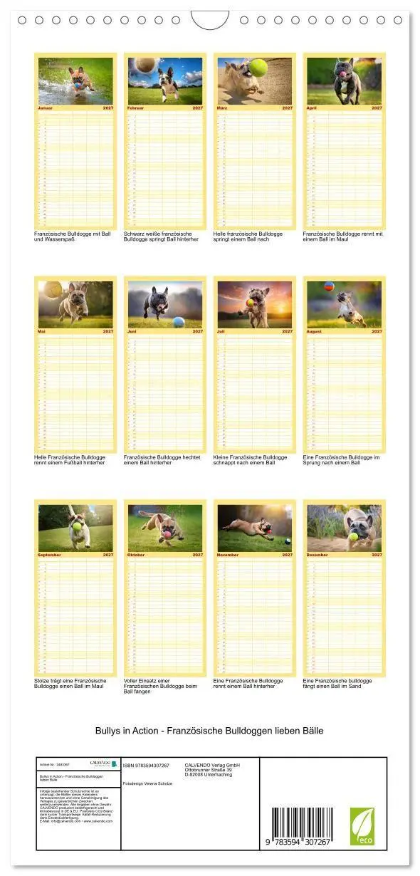 Bild: 9783594307267 | Familienplaner 2027 - Bullys in Action - Französische Bulldoggen...