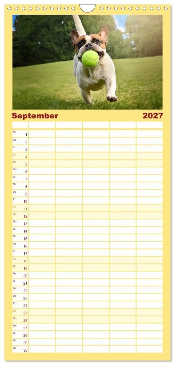 Bild: 9783594307267 | Familienplaner 2027 - Bullys in Action - Französische Bulldoggen...