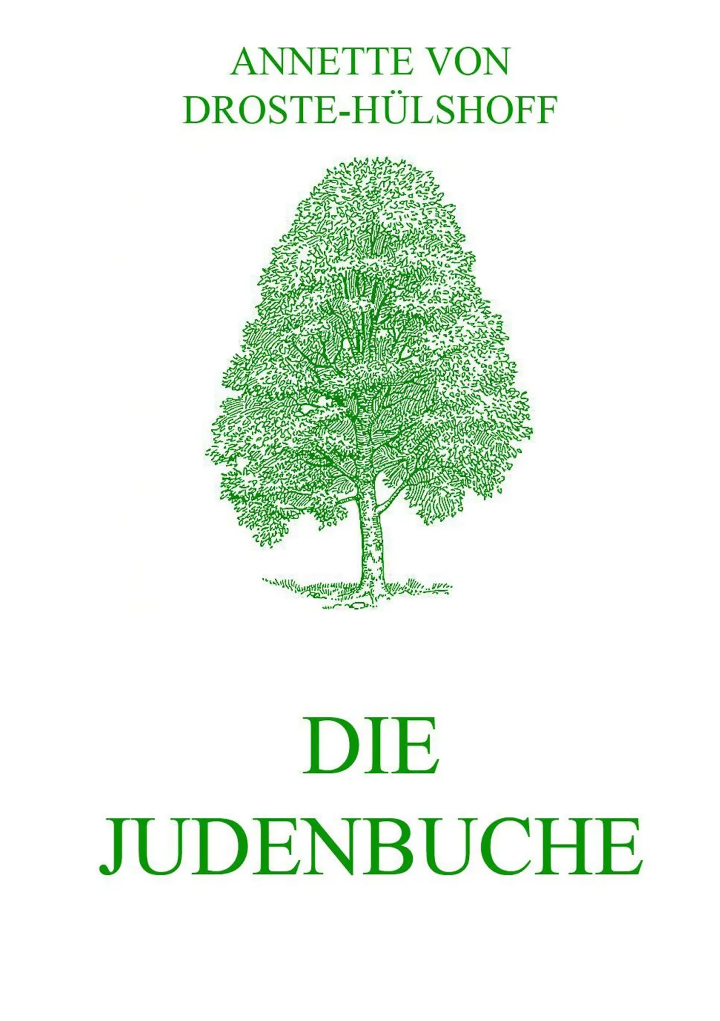 Cover: 9783849687267 | Die Judenbuche | Annette von Droste-Hülshoff | Taschenbuch | 52 S.