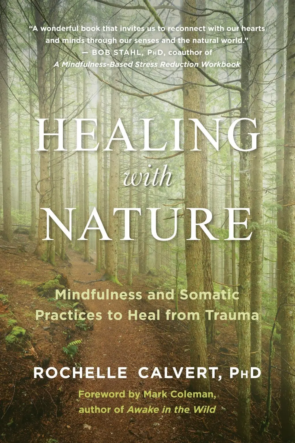 Cover: 9781608687367 | Healing with Nature | Rochelle Calvert | Taschenbuch | Englisch | 2021
