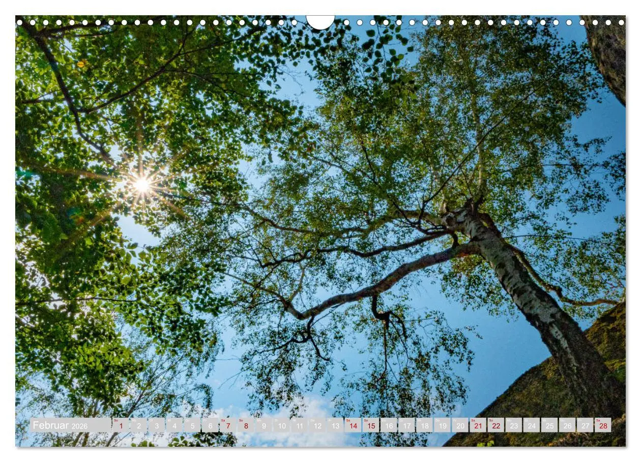Bild: 9783457777367 | Naturpark Zittauer Gebirge (Wandkalender 2026 DIN A3 quer),...