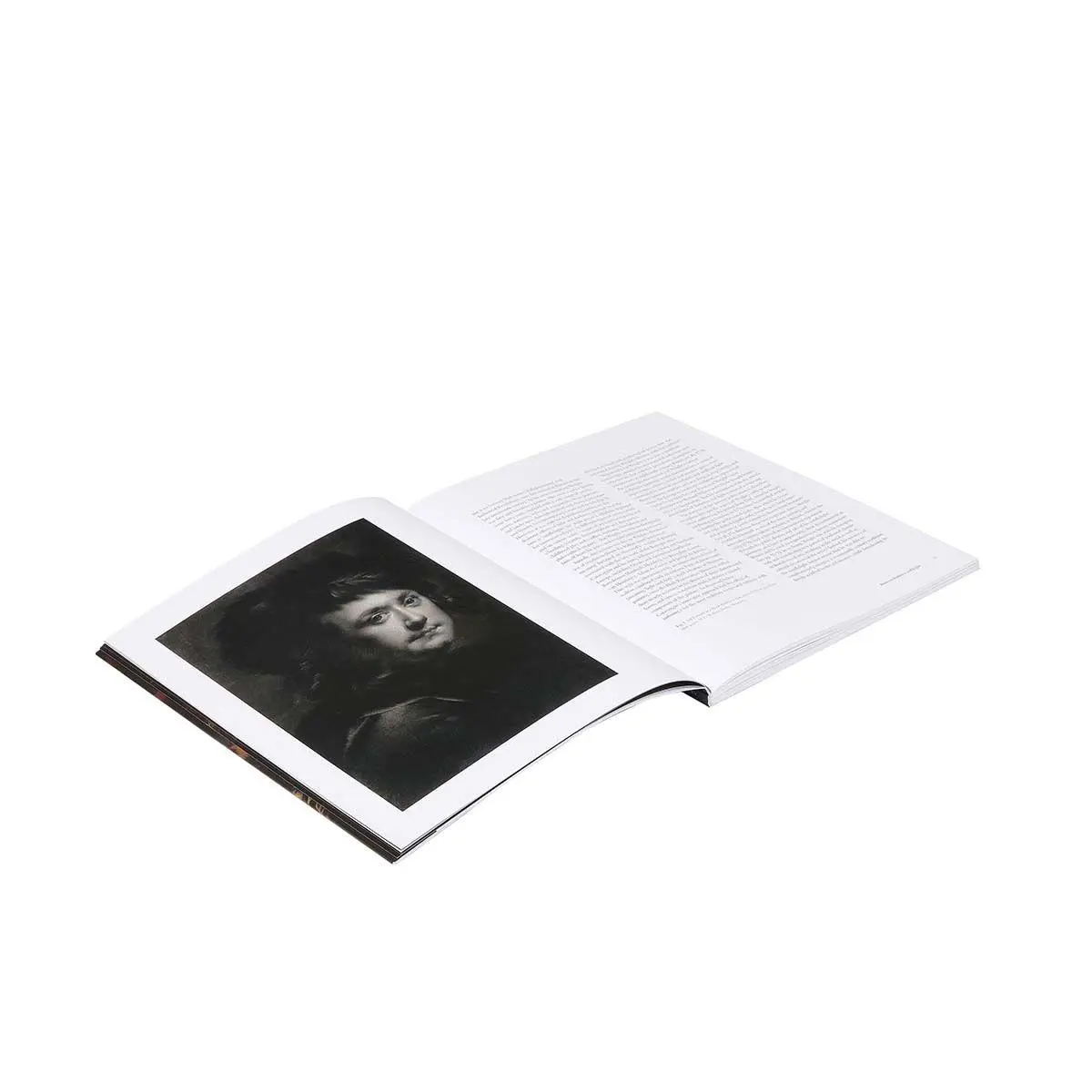 Bild: 9781857097467 | Wright of Derby | From the Shadows | Christine Riding (u. a.) | Buch