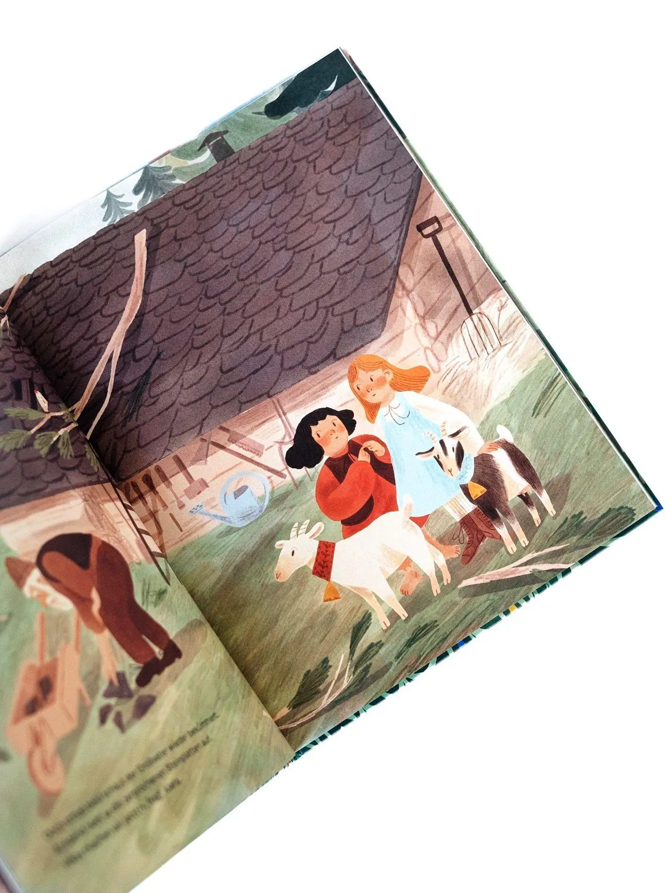 Bild: 9783314107467 | Heidi und die verschwundenen Geißen | Katja Alves | Buch | 32 S.