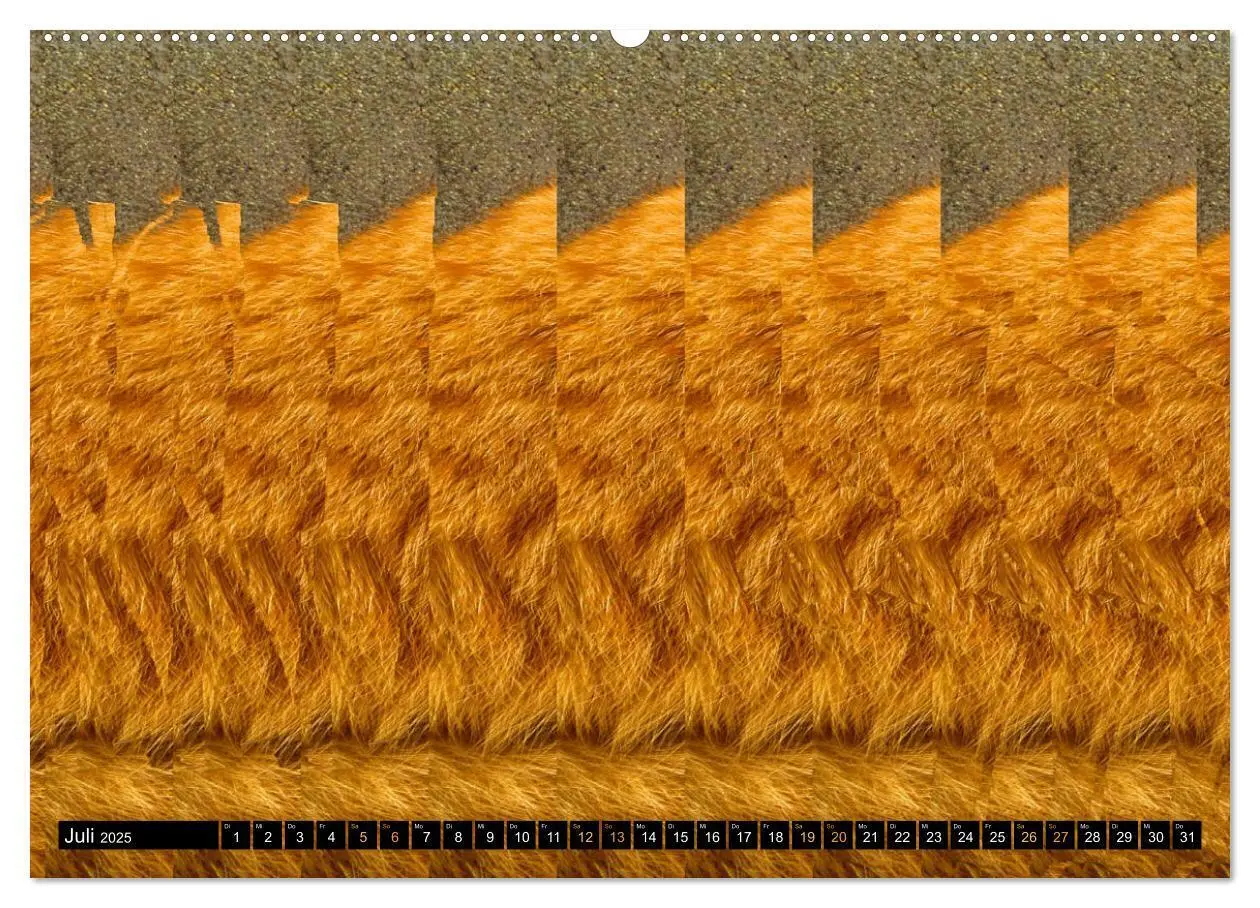 Bild: 9783435127467 | Magische Bilder - 3D Stereogramme (hochwertiger Premium...