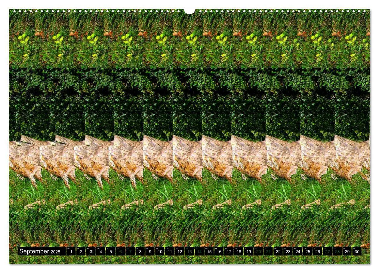Bild: 9783435127467 | Magische Bilder - 3D Stereogramme (hochwertiger Premium...