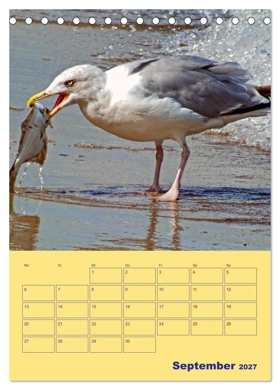 Bild: 9783569327467 | Sehnsuchtsort Warnemünde (Tischkalender 2027 DIN A5 hoch), CALVENDO...
