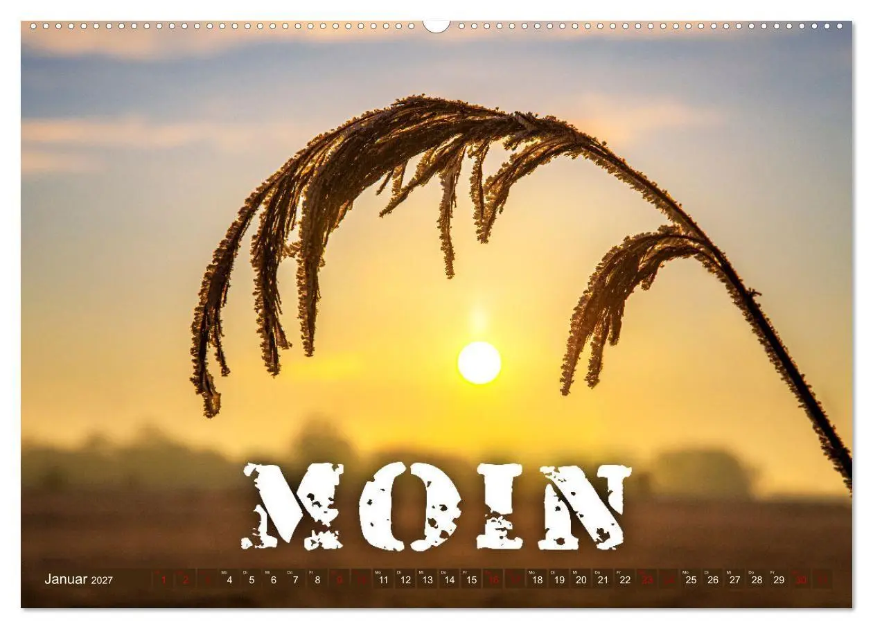 Bild: 9783569497467 | Sehnsucht zum Meer (Wandkalender 2027 DIN A2 quer), CALVENDO...
