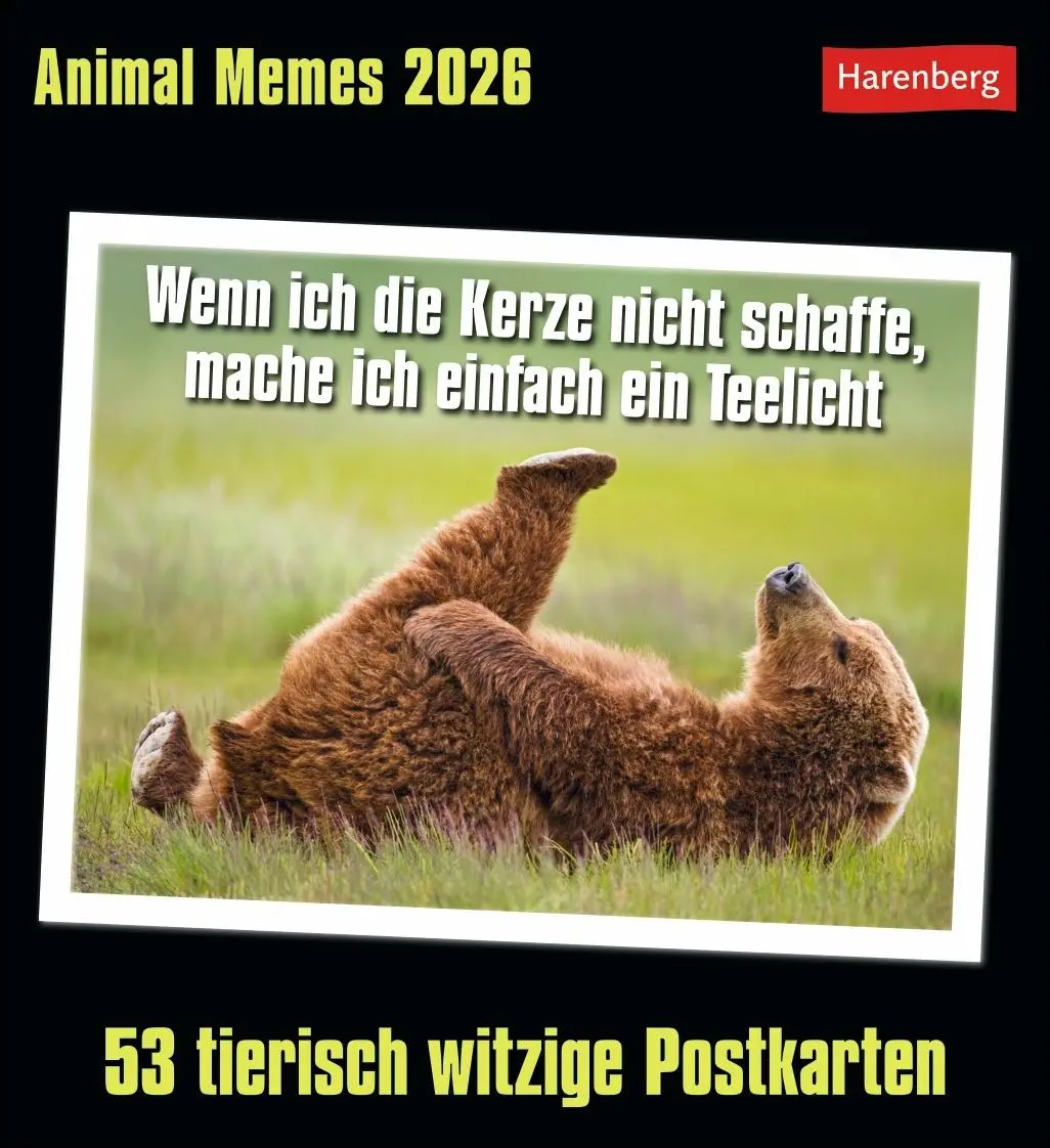 Cover: 9783840037467 | Animal Memes Postkartenkalender 2026 - 53 tierisch witzige Postkarten