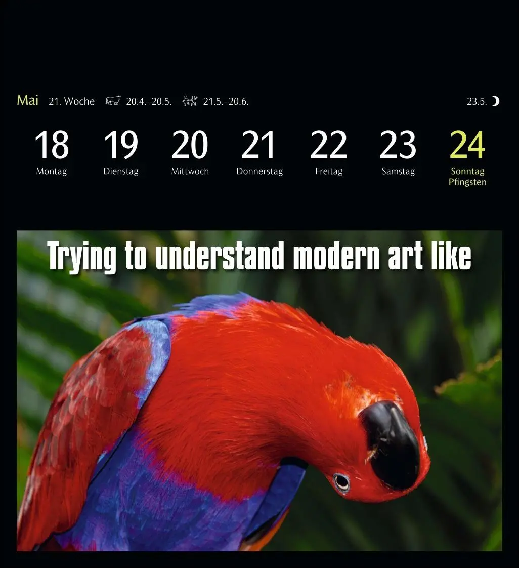 Bild: 9783840037467 | Animal Memes Postkartenkalender 2026 - 53 tierisch witzige Postkarten