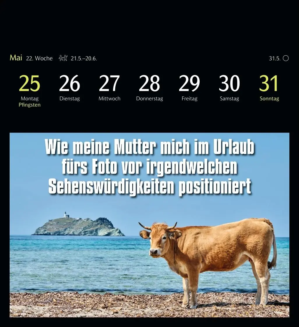 Bild: 9783840037467 | Animal Memes Postkartenkalender 2026 - 53 tierisch witzige Postkarten