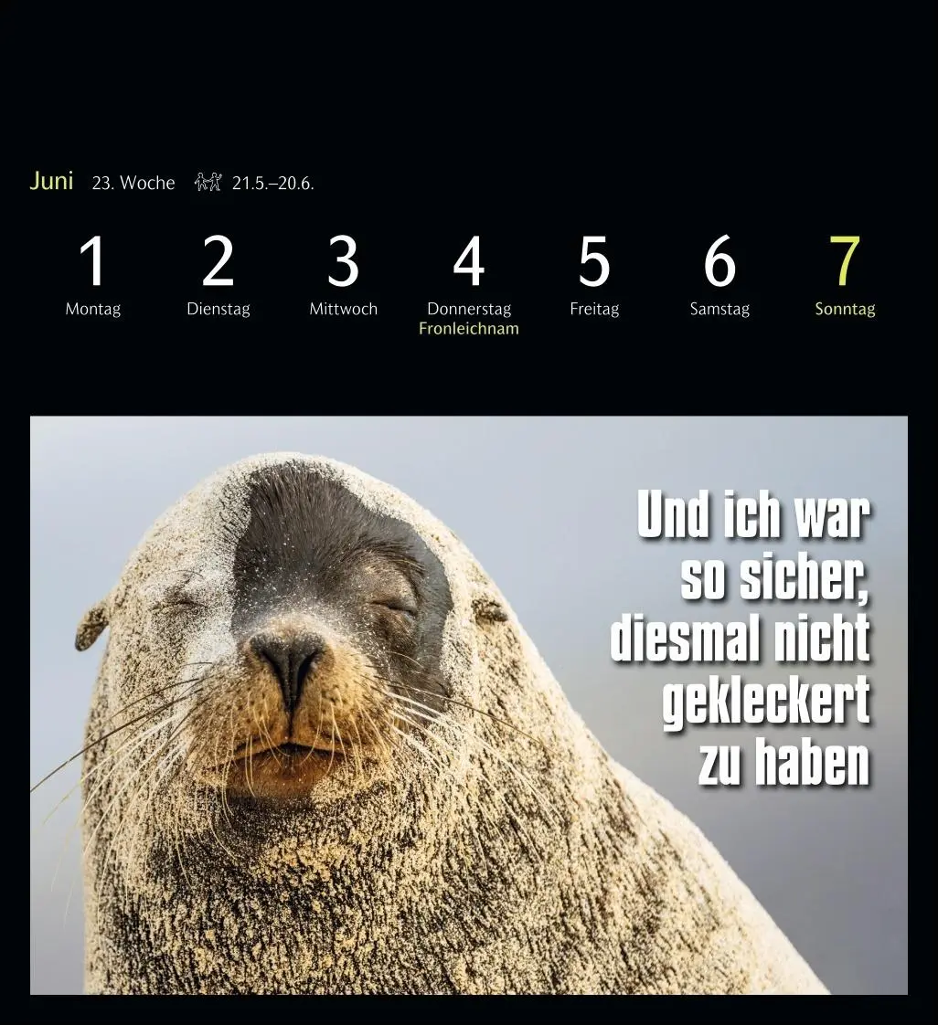 Bild: 9783840037467 | Animal Memes Postkartenkalender 2026 - 53 tierisch witzige Postkarten