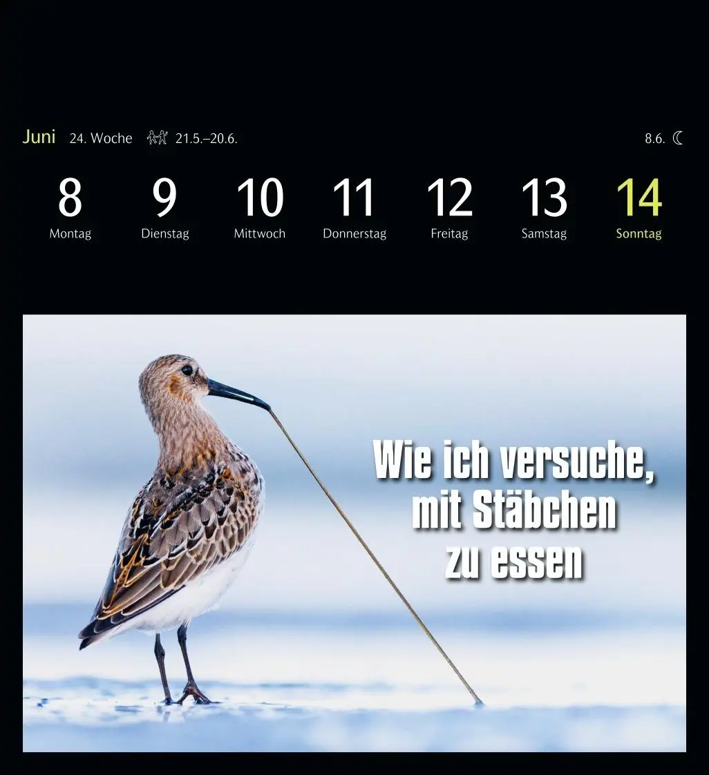 Bild: 9783840037467 | Animal Memes Postkartenkalender 2026 - 53 tierisch witzige Postkarten