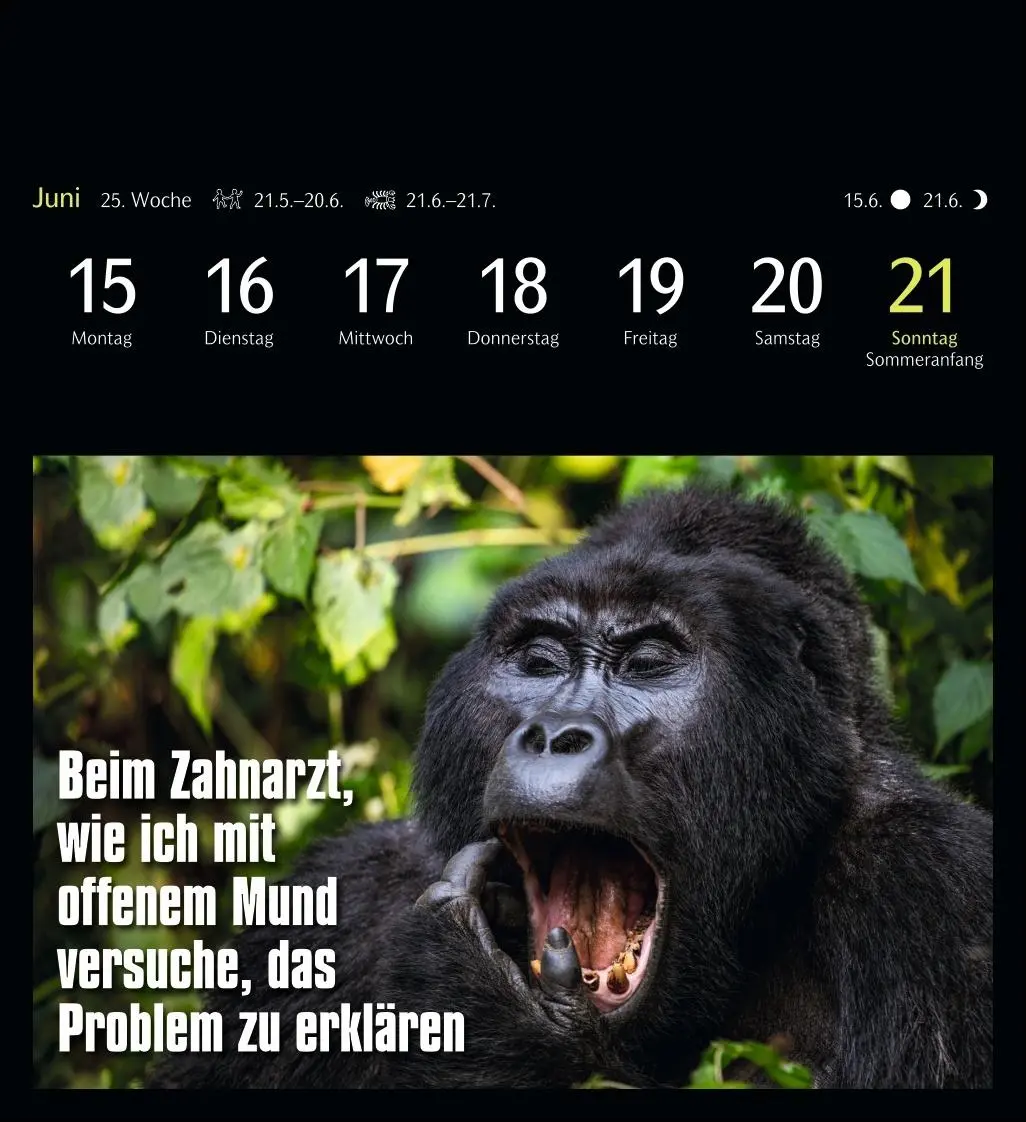 Bild: 9783840037467 | Animal Memes Postkartenkalender 2026 - 53 tierisch witzige Postkarten