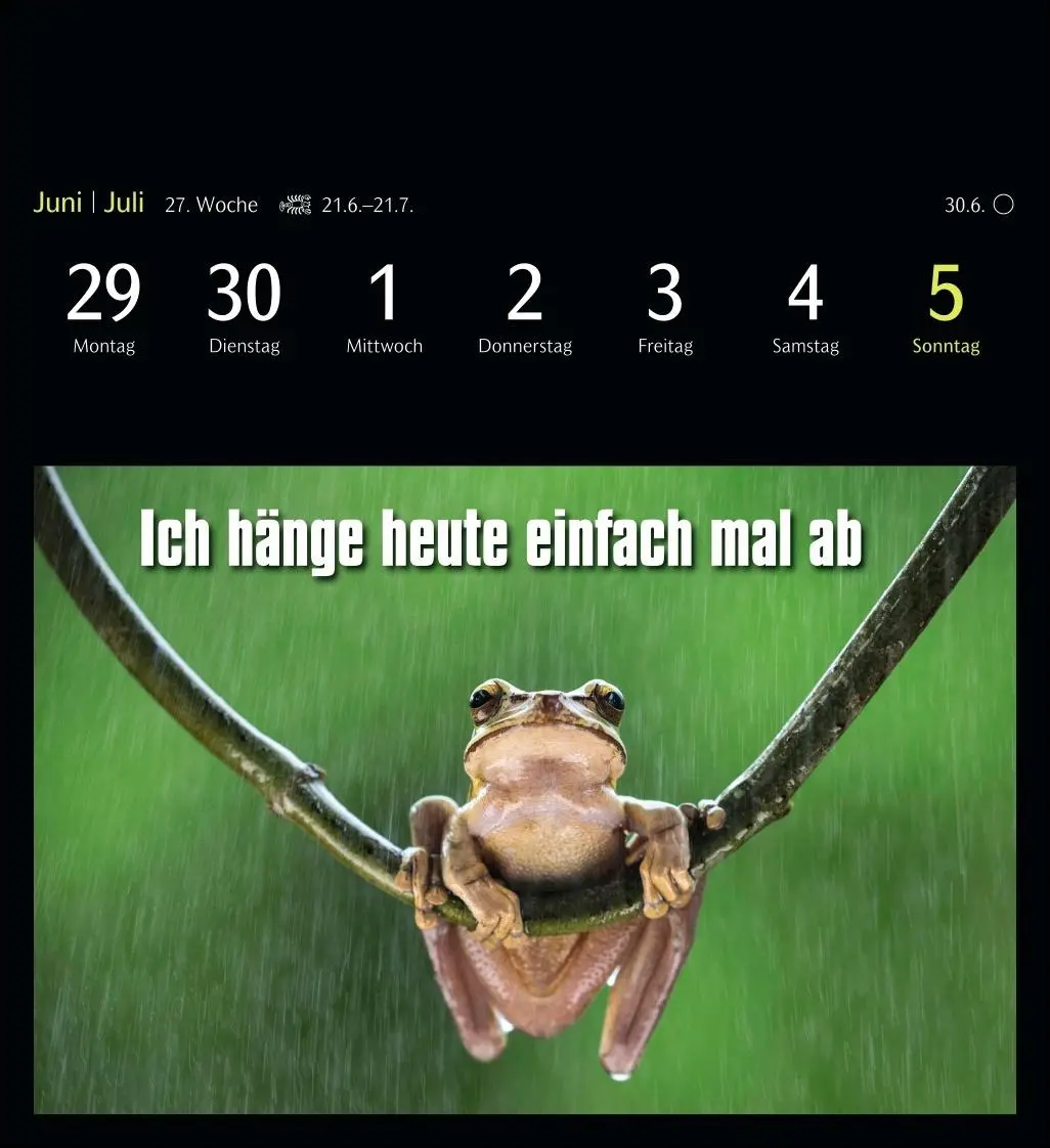 Bild: 9783840037467 | Animal Memes Postkartenkalender 2026 - 53 tierisch witzige Postkarten