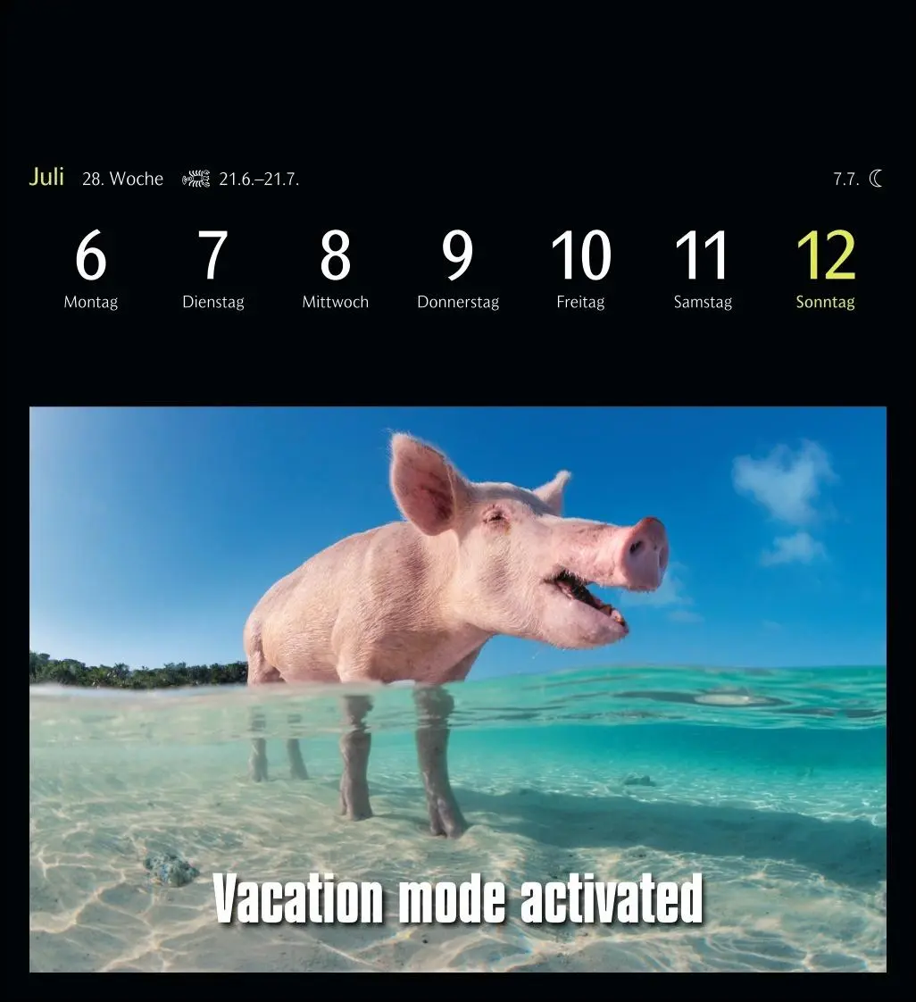Bild: 9783840037467 | Animal Memes Postkartenkalender 2026 - 53 tierisch witzige Postkarten
