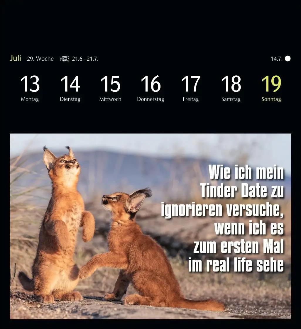 Bild: 9783840037467 | Animal Memes Postkartenkalender 2026 - 53 tierisch witzige Postkarten