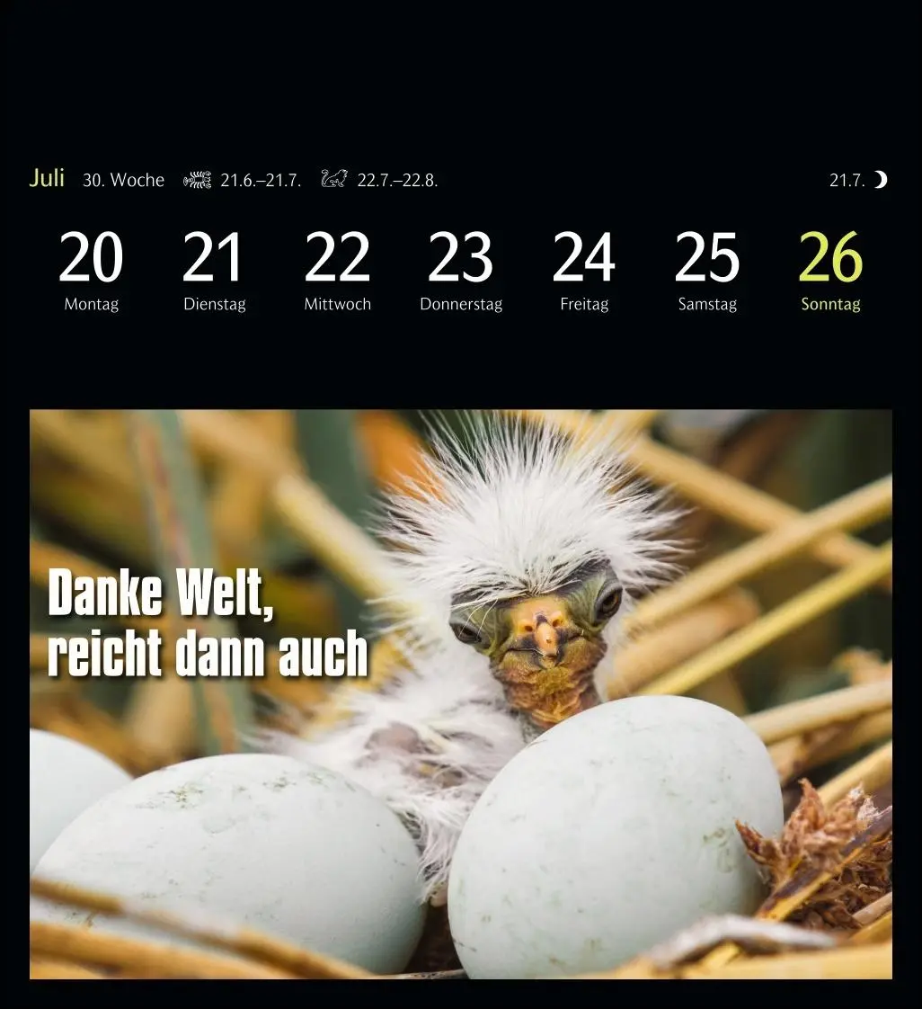 Bild: 9783840037467 | Animal Memes Postkartenkalender 2026 - 53 tierisch witzige Postkarten