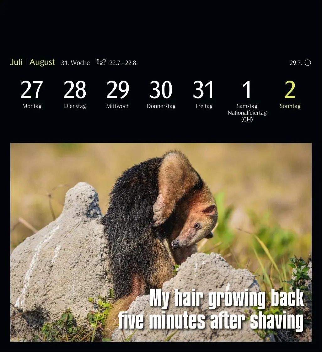 Bild: 9783840037467 | Animal Memes Postkartenkalender 2026 - 53 tierisch witzige Postkarten