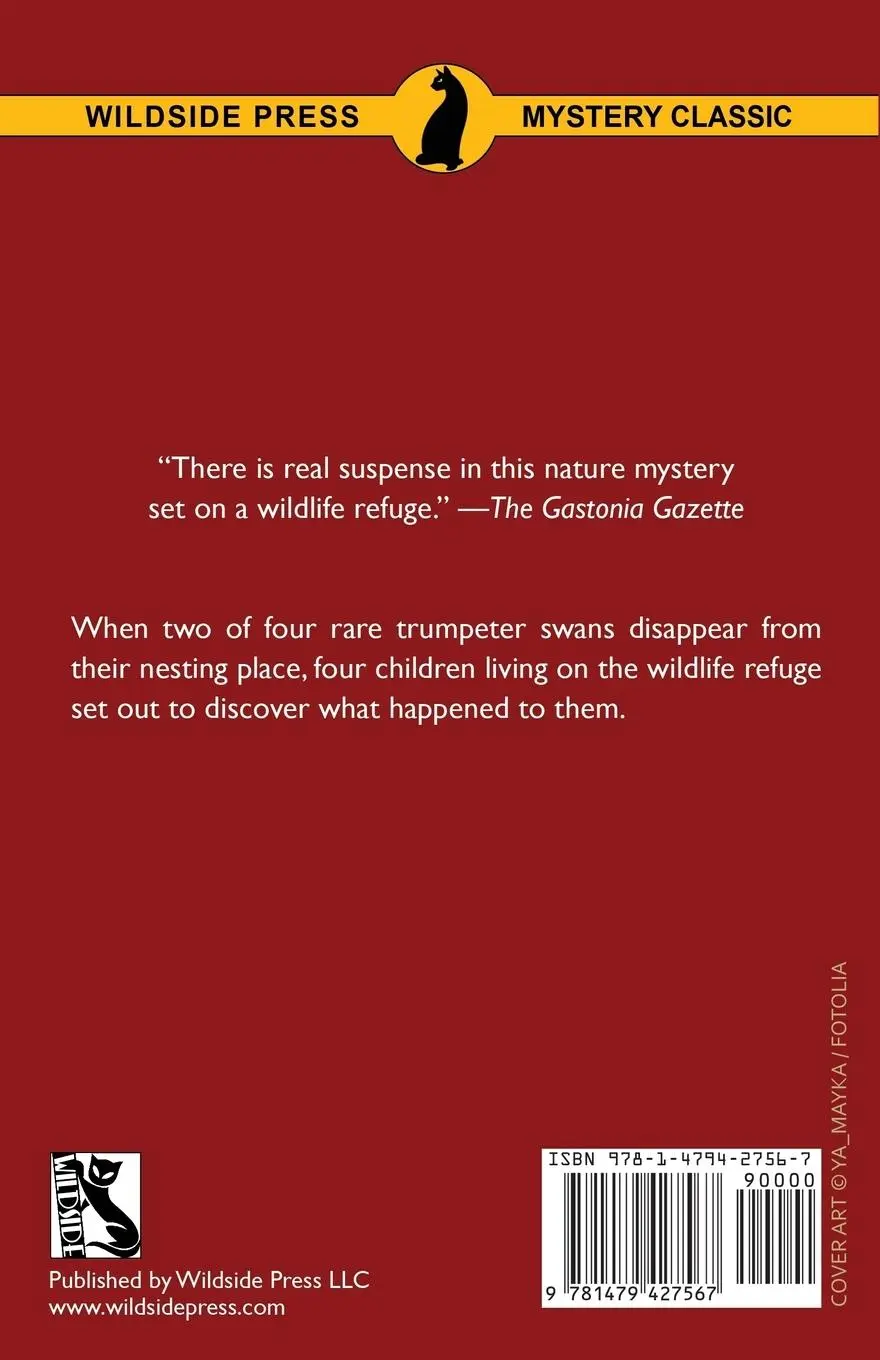 Rückseite: 9781479427567 | The Kite Mystery | Mary Adrian | Taschenbuch | Englisch | 2017