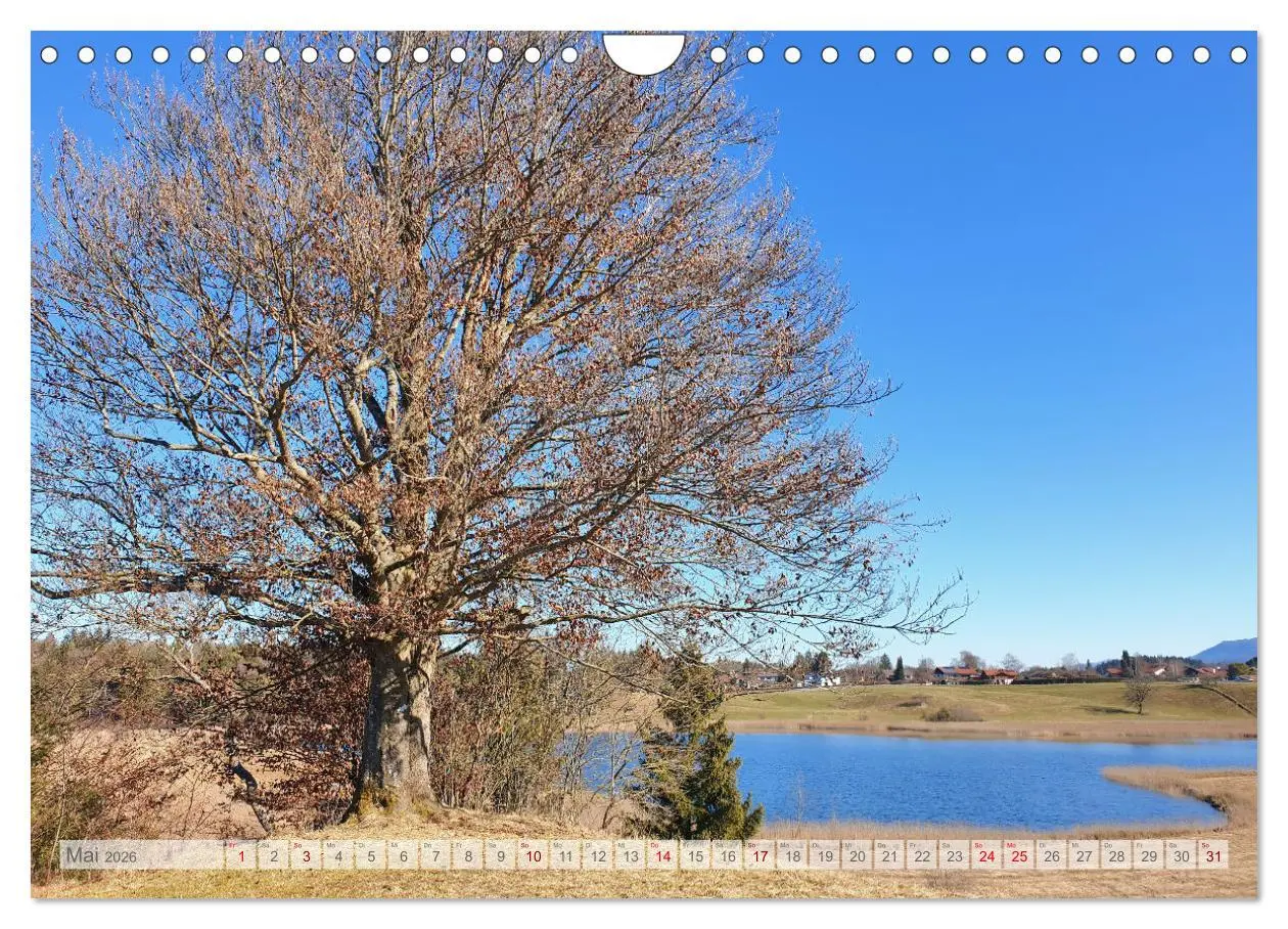 Bild: 9783457377567 | Seen am Alpenrand - Bilderbuchlandschaften in Oberbayern...