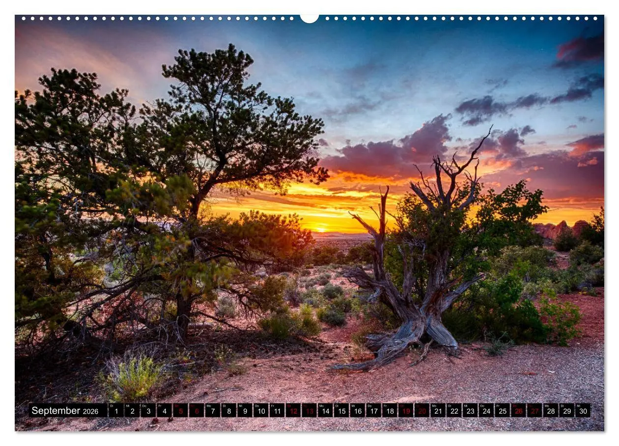 Bild: 9783457757567 | Landschaftliche Schätze (hochwertiger Premium Wandkalender 2026 DIN...