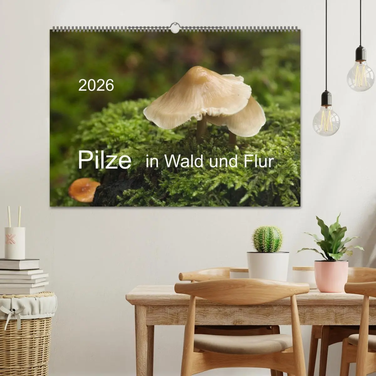 Bild: 9783516087567 | Pilze in Wald und Flur (Wandkalender 2026 DIN A2 quer), CALVENDO...