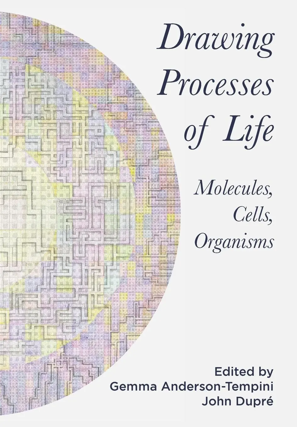 Cover: 9781789387667 | Drawing Processes of Life | Molecules, Cells, Organisms | Taschenbuch