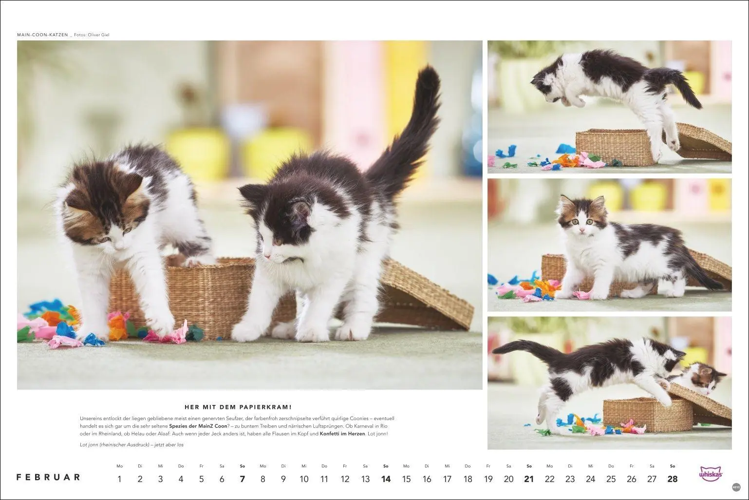 Bild: 9783756417667 | Whiskas Katzenkalender 2027 | Heye | Kalender | Spiralbindung | 14 S.