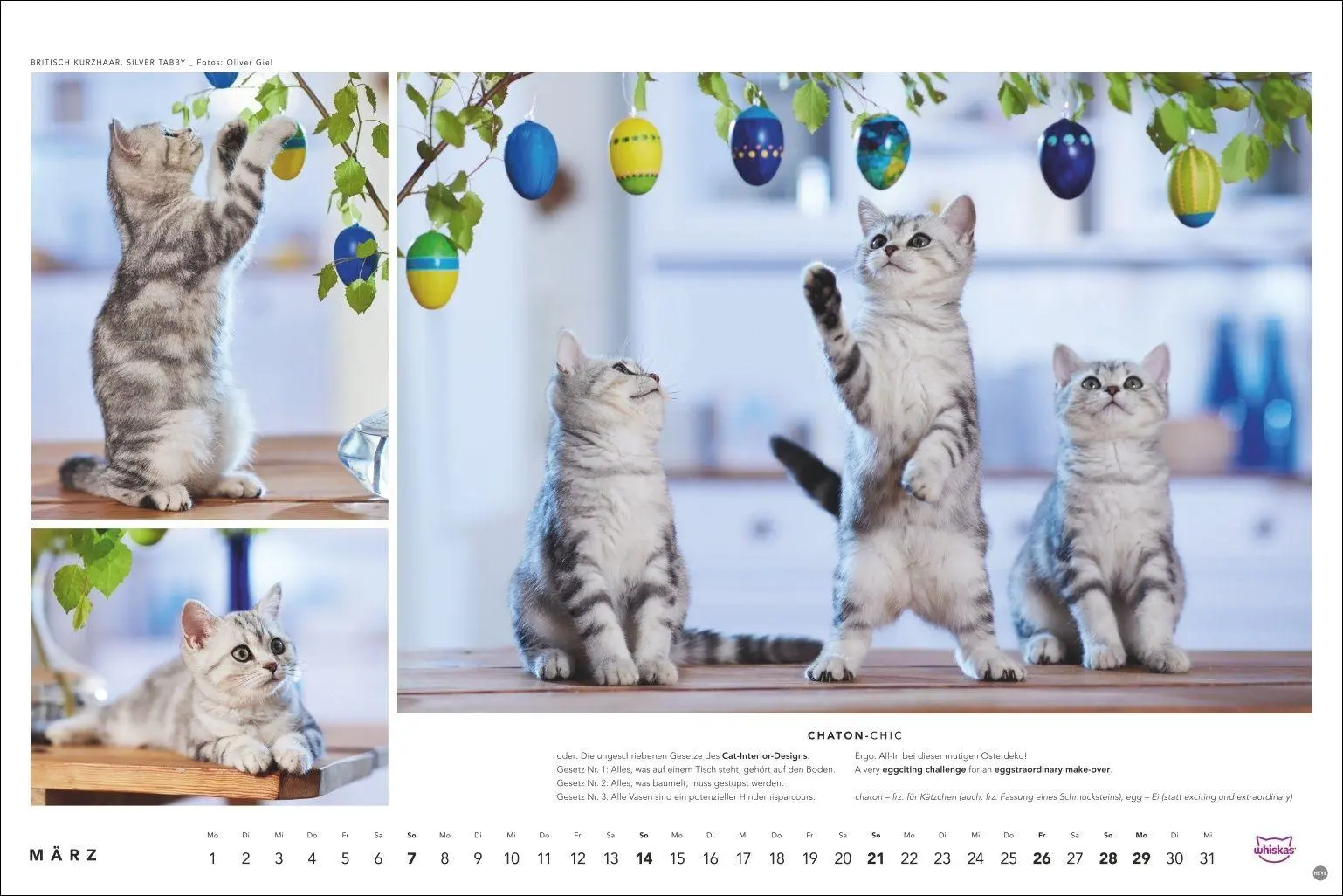 Bild: 9783756417667 | Whiskas Katzenkalender 2027 | Heye | Kalender | Spiralbindung | 14 S.
