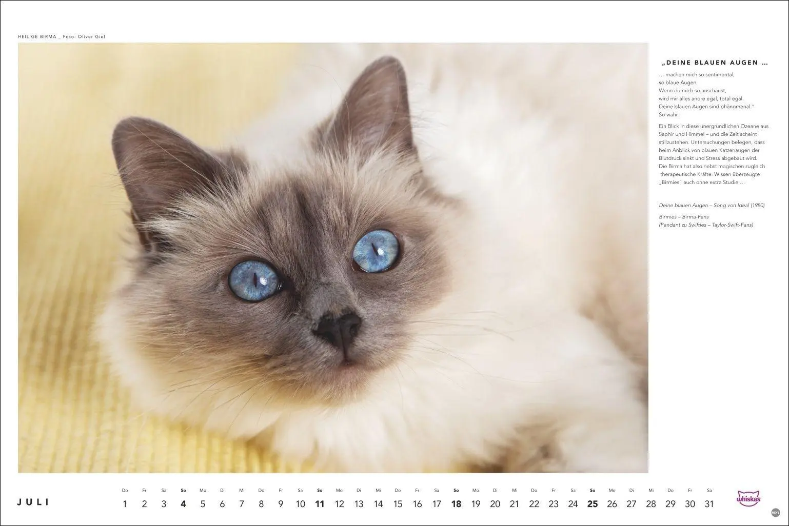 Bild: 9783756417667 | Whiskas Katzenkalender 2027 | Heye | Kalender | Spiralbindung | 14 S.