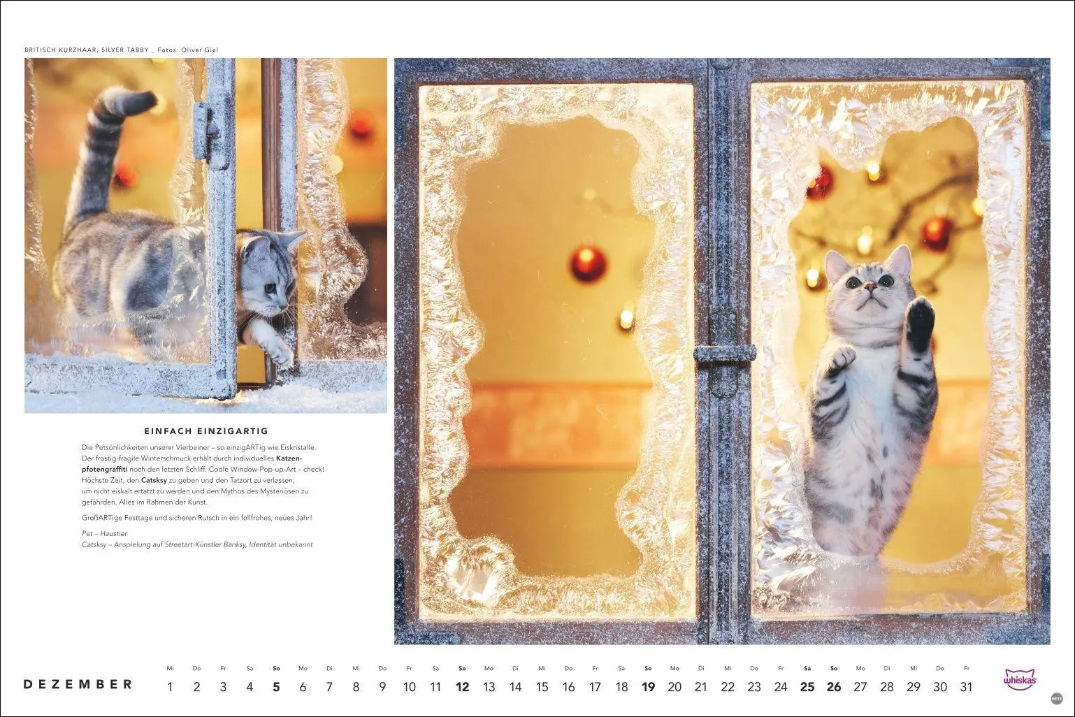 Bild: 9783756417667 | Whiskas Katzenkalender 2027 | Heye | Kalender | Spiralbindung | 14 S.