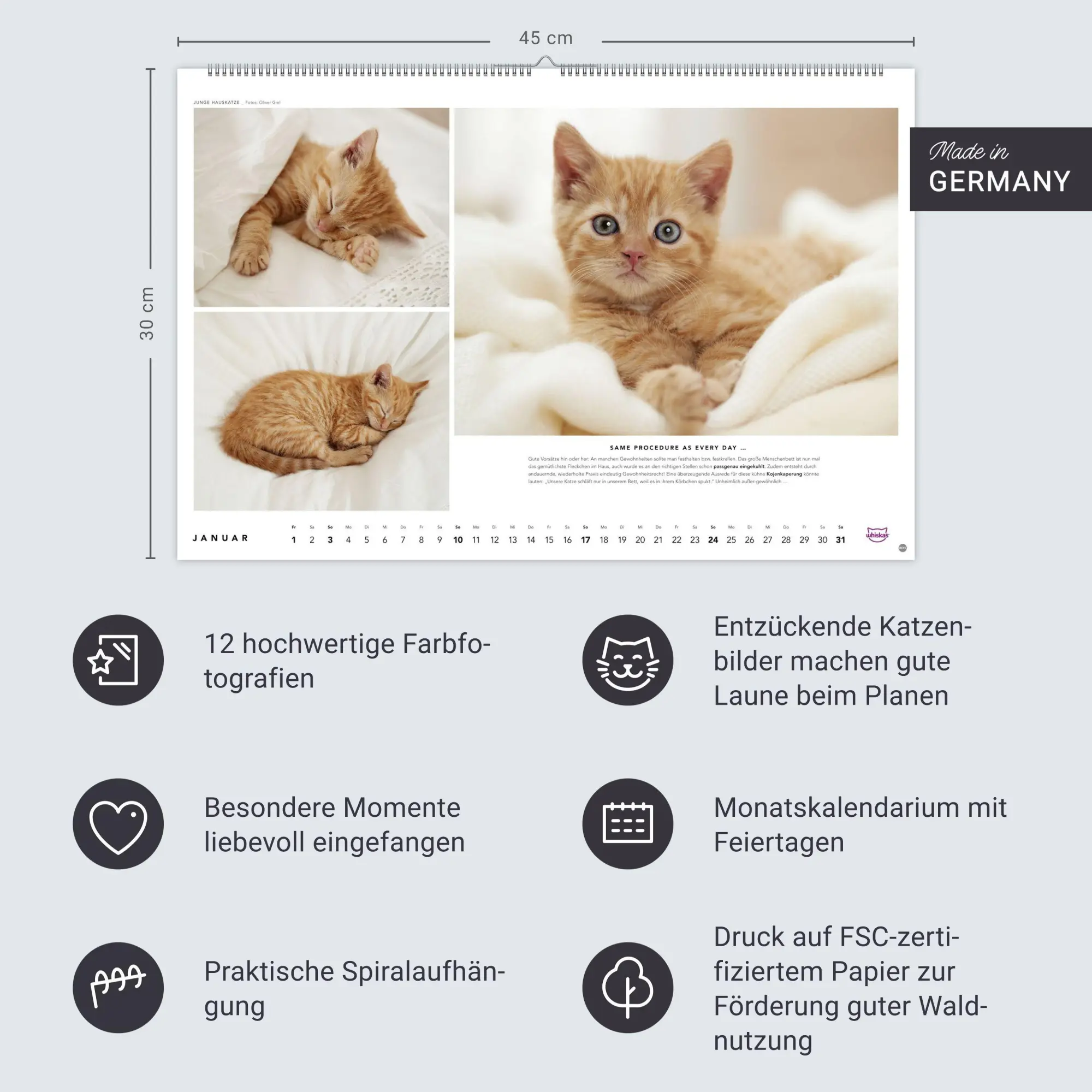 Bild: 9783756417667 | Whiskas Katzenkalender 2027 | Heye | Kalender | Spiralbindung | 14 S.