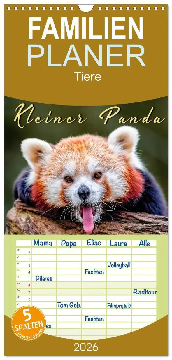 Cover: 9783516517767 | Familienplaner 2026 - Kleiner Panda mit 5 Spalten (Wandkalender, 21...