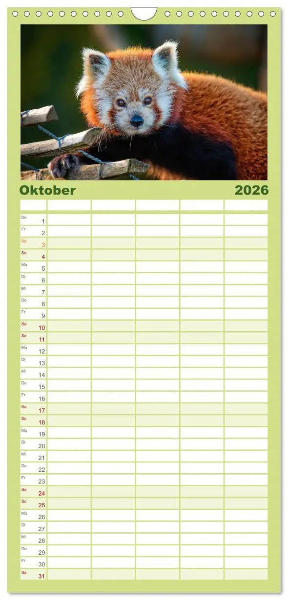 Bild: 9783516517767 | Familienplaner 2026 - Kleiner Panda mit 5 Spalten (Wandkalender, 21...