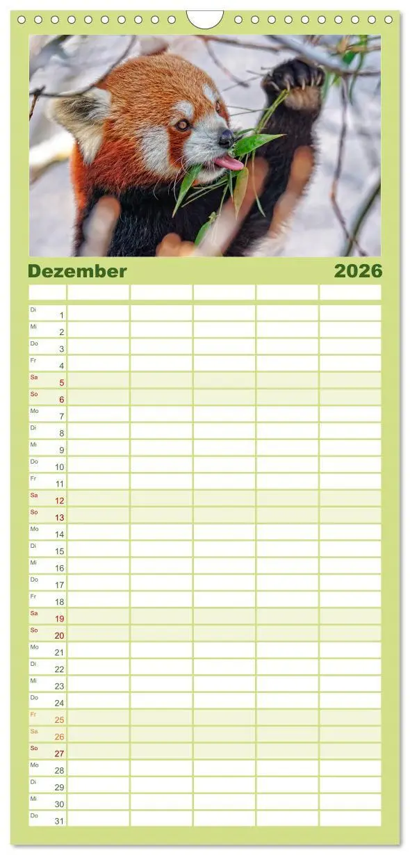 Bild: 9783516517767 | Familienplaner 2026 - Kleiner Panda mit 5 Spalten (Wandkalender, 21...