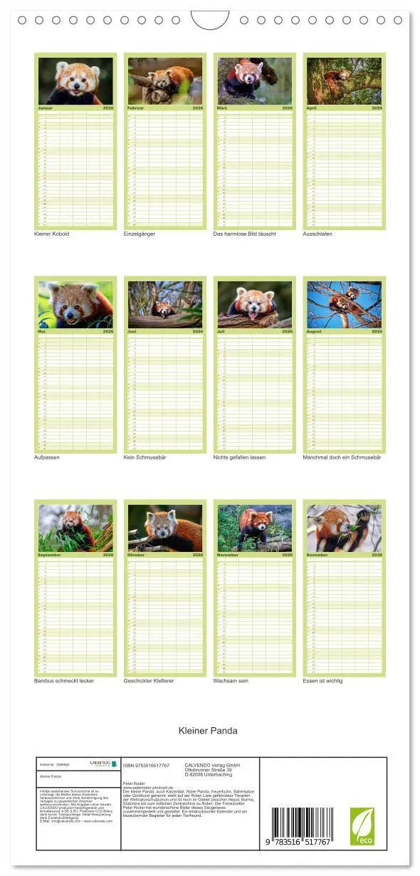 Bild: 9783516517767 | Familienplaner 2026 - Kleiner Panda mit 5 Spalten (Wandkalender, 21...